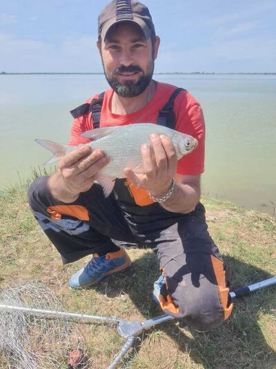 ,   Anton, 41 ,   ,   , c 