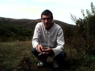  -,   , 43 ,   