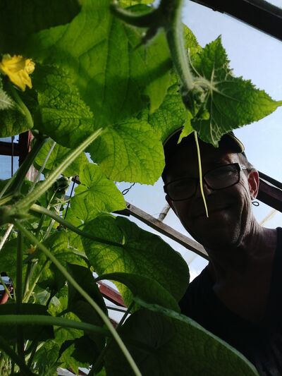  ,   Mihail, 64 ,   c 