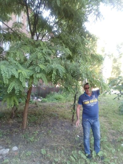  ,   , 62 ,     , c 
