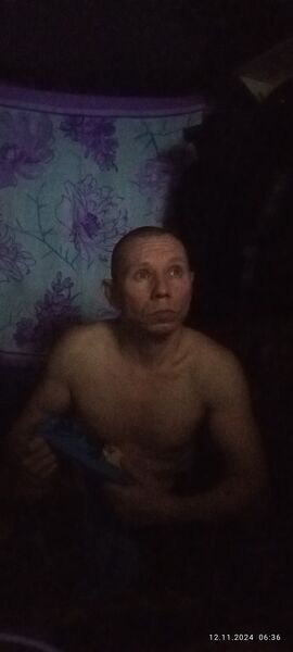   ,   , 41 ,   