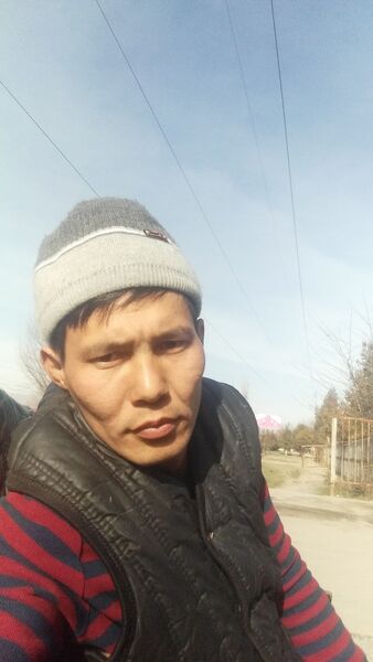  -,   , 37 ,     , c , 