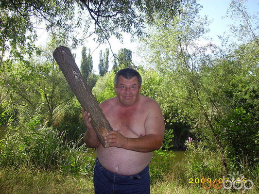  ,   Borzii, 62 ,   