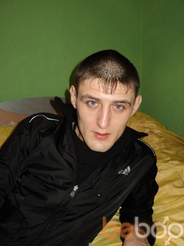  ,   Wolf, 38 ,   