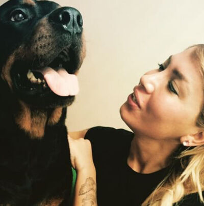 ,   Gunka, 34 ,   ,   , c 
