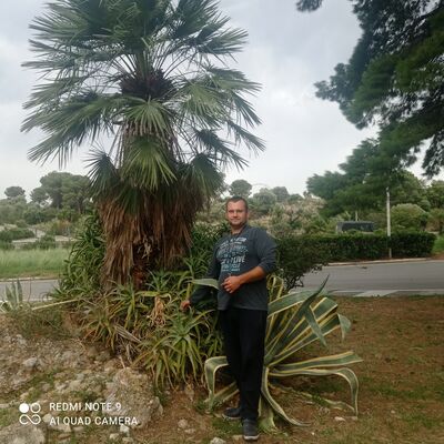  Villar del Arzobispo,   , 41 ,   ,   