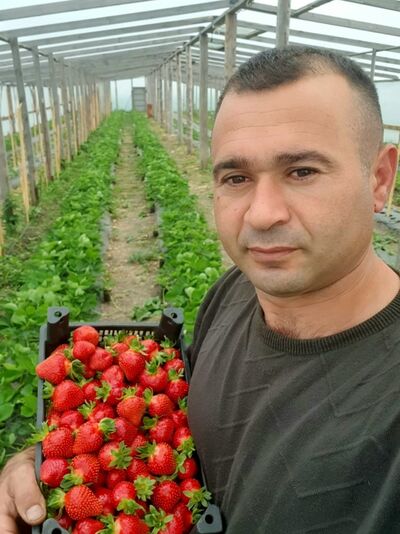  ,   , 40 ,   ,   