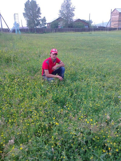  ,   , 33 ,     , c , 