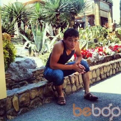  ,   Profi, 31 ,   ,   , c 