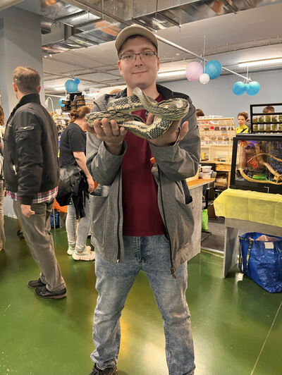  ,   , 28 ,   c 