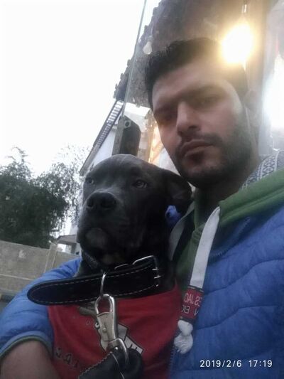  ,   Sayed, 42 ,   ,   , c , 