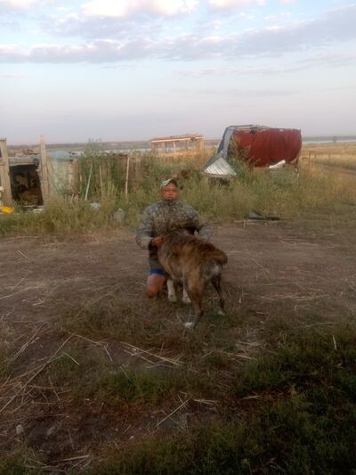  ,   Meirambek, 42 ,   c 