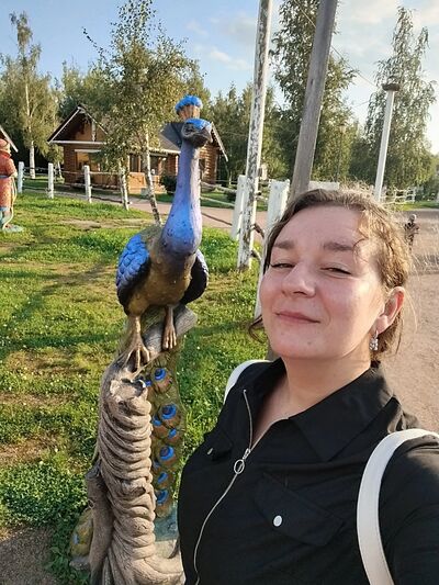  -,   , 33 ,  