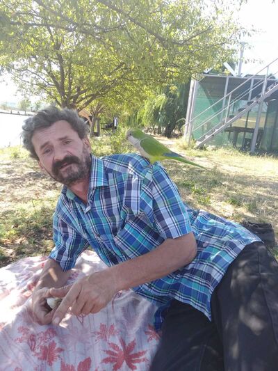  ,   Igor, 54 ,     , c 