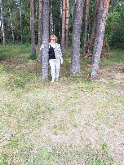  ,   , 62 ,   ,   