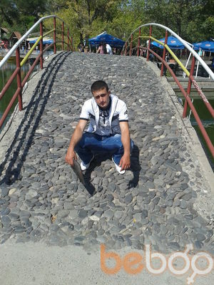  ,   AVET, 33 ,   