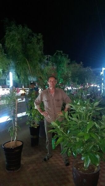  ,   , 53 ,   