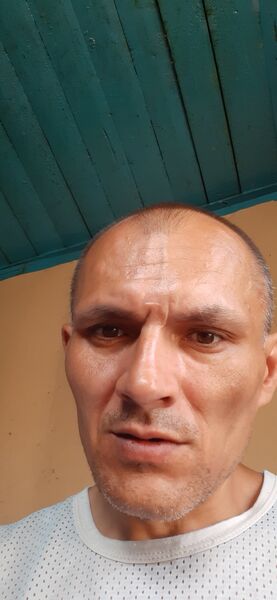  ,   , 43 ,   ,   