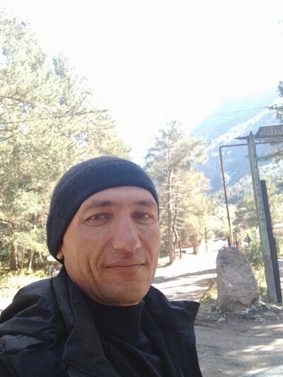  ,   , 41 ,     , 