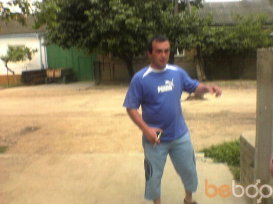  ,   Musa, 41 ,   ,   , c , 