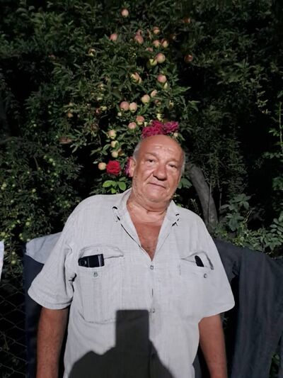   ,   , 67 ,   