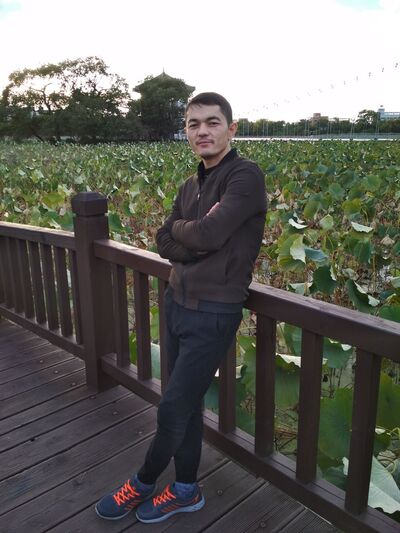  ,   Doni, 33 ,   