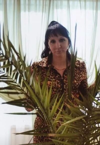  ,   , 53 ,   