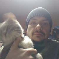  ,   , 39 ,   