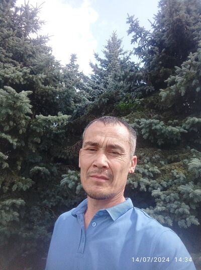  -,   , 44 ,   ,   