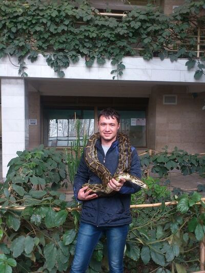  ,   Husniddin, 33 ,   