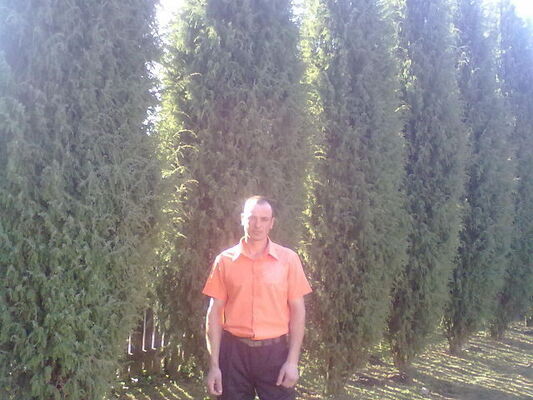  ,   Tudor, 42 ,   ,   , c 