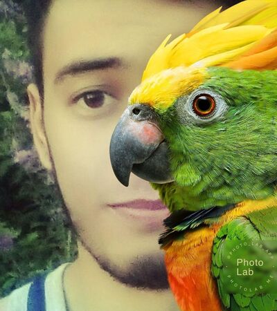  -,   , 32 ,   