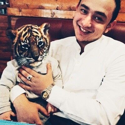 ���������� ������, ���� ������� ���������, 29 ���, ������������ ��� ������, ����� � ���������, ���������