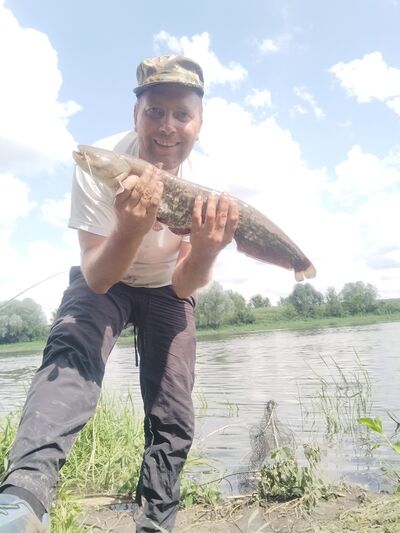  ,   Denis, 38 ,   ,   , 