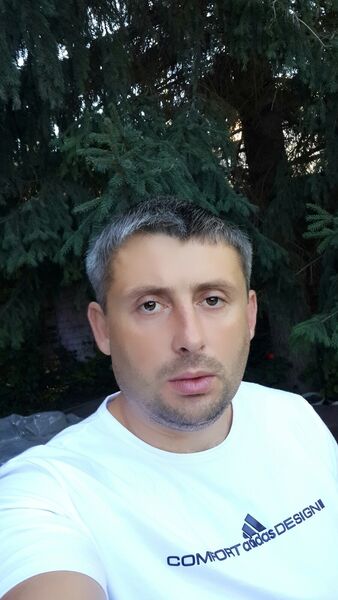  -,   , 41 ,   