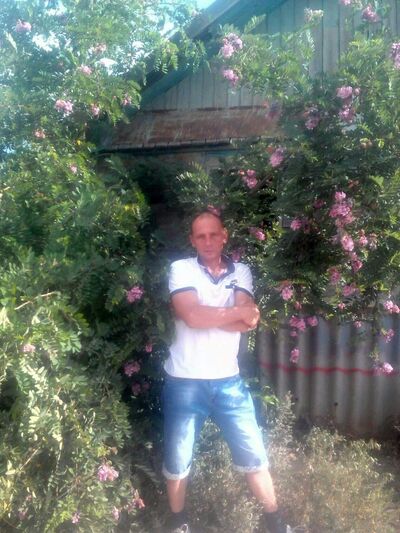   ,   , 53 ,   