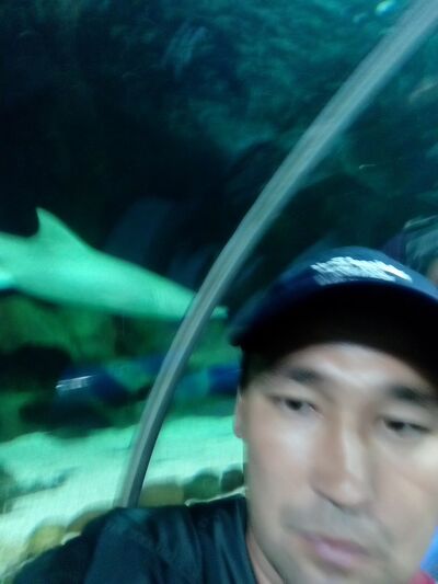  ,   , 44 ,   