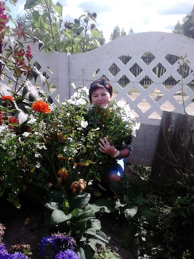  ,   Sv, 55 ,  