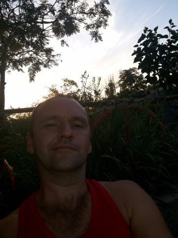  ,   , 46 ,   