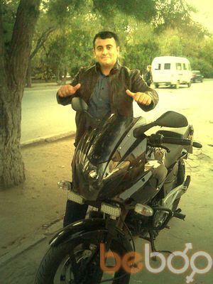 ,   Axileks, 41 ,     , c 