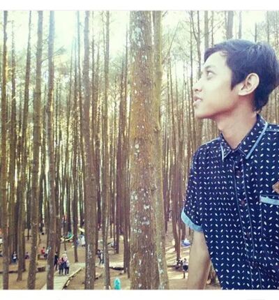  Yogyakarta,   , 24 ,   ,   