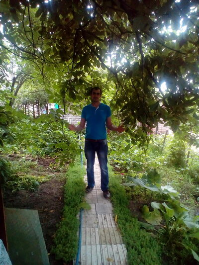   ,   , 41 ,  