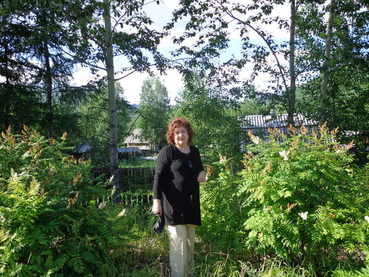 ,   , 65 ,  