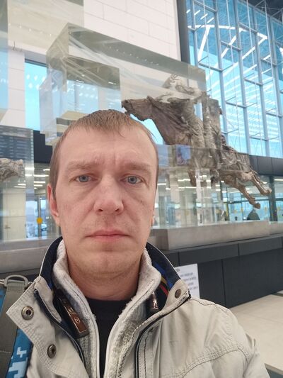  ,   , 41 ,  