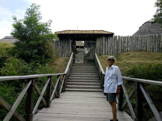  ,   Viktor, 86 ,   ,   , c 