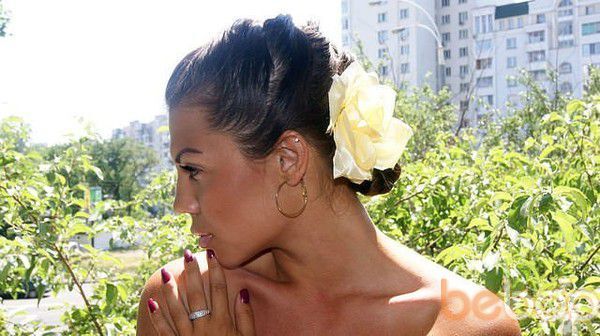  ,   Ayka, 40 ,   ,   , c 