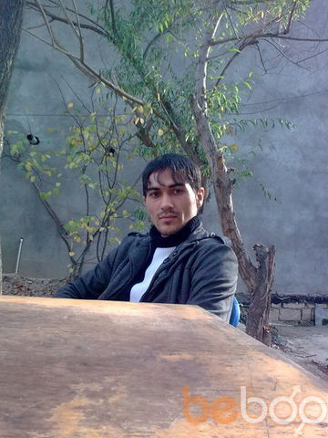  ,   YAGO, 43 ,   