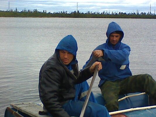  -,   , 50 ,   ,   , c 