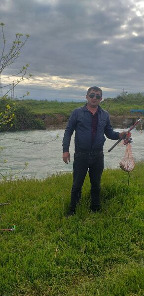  ,   Mahir, 49 ,     , c 