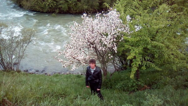  ,   , 39 ,     , c , 